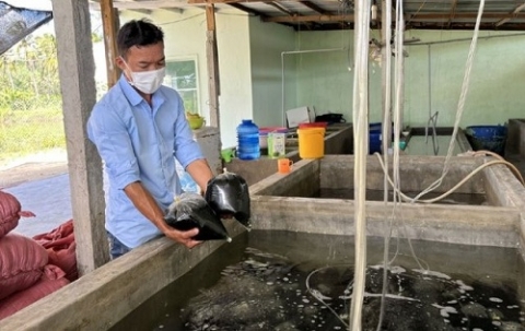 rong nho tach nuoc phuc khang san pham cong nghiep nong thon tieu bieu nhieu trien vong cua phu yen