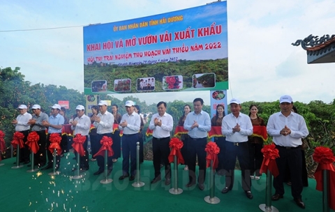 hai duong xuat khau lo vai thieu thanh ha dau tien trong nam 2022