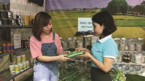vinh phuc cau noi quang ba tieu thu san pham ocop nong san an toan