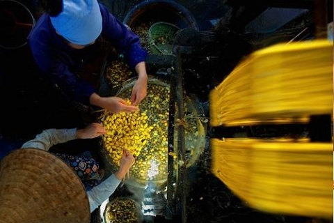 lang nghe to tam vong nguyet ngan nam van gin giu va phat trien nghe