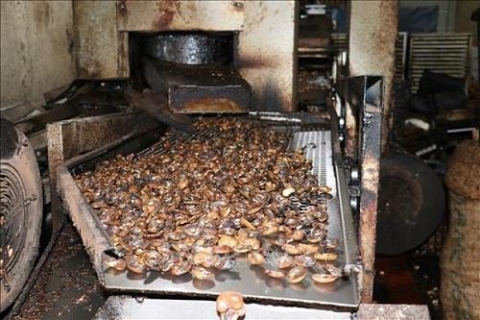 15 san pham hat dieu binh phuoc duoc xep hang 4 sao