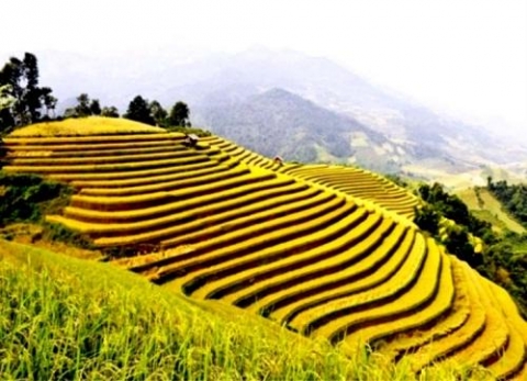 ha giang to chuc tuan van hoa du lich qua nhung mien di san ruong bac thang hoang su phi lan thu vi