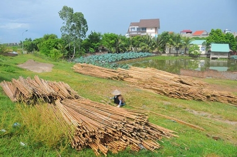 gia binh bac ninh thanh lap cum cong nghiep lang nghe xuan lai