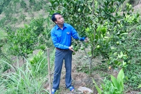 cao bang nong dan hoa an day manh phong trao thi dua san xuat kinh doanh gioi