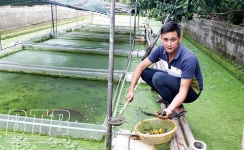thai binh lam giau tu nuoi oc nhoi giong