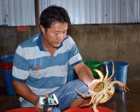 nghe vo beo cua me o ca mau thu hang chuc trieu dong moi thang