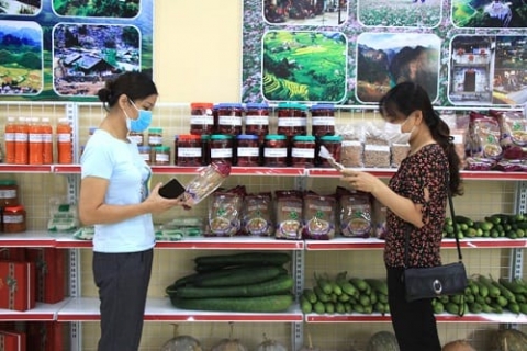 nong san an toan va san pham ocop huyen dong van ha giang