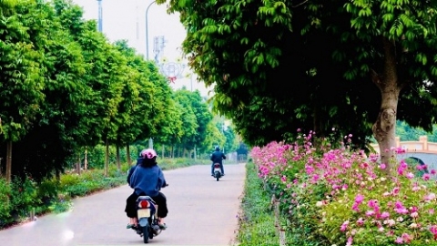 duong hoa nong thon moi bon mua ngat huong ruc ro sac mau van nguoi me o xa ngoai thanh ha noi