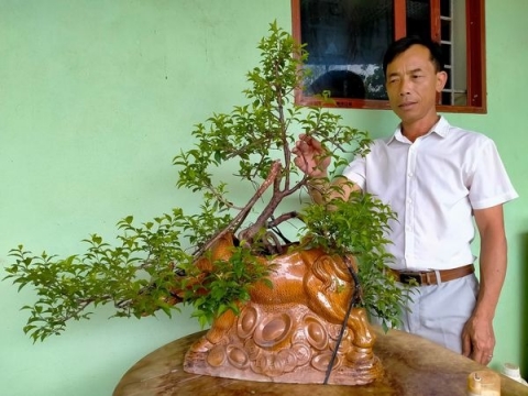nghe nhan nguyen van ngan nang tam gia tri cay hoa mai trang