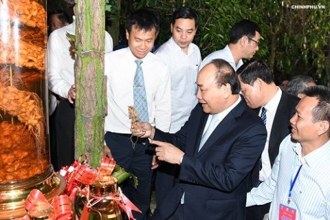 thu tuong du hoi nghi ve dau tu phat trien sam ngoc linh va cac duoc lieu