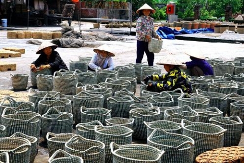 ninh binh cay coi va nghe det coi o kim son