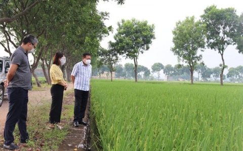 huyen my duc ha noi thuc hien muc tieu kep day manh phat trien vu dong