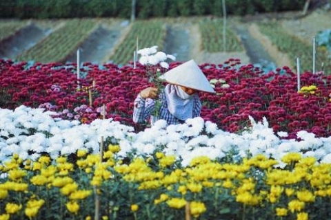 lang hoa ha lung hai phong ton tai hon 100 nam qua