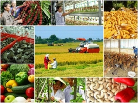 day manh thu hut dau tu cum cong nghiep cong nghiep lang nghe tao da phat trien cac co so cong nghiep nong thon