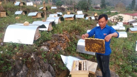 dong van ha giang day manh thuc hien chuong trinh ocop