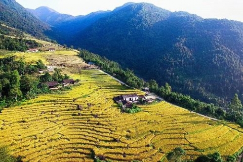dac sac cac hoat dong tuan van hoa du lich binh lieu nam 2020