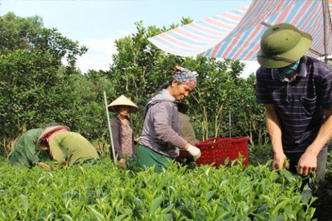 thai nguyen khuyen cong tiep suc cho lang nghe che van han phat trien