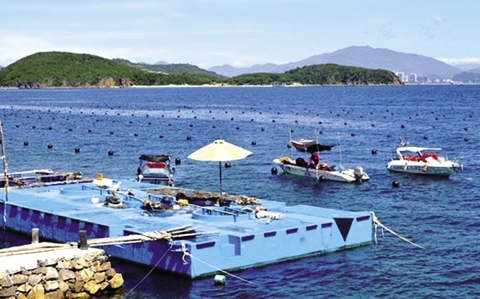 nghe nuoi cay ngoc trai