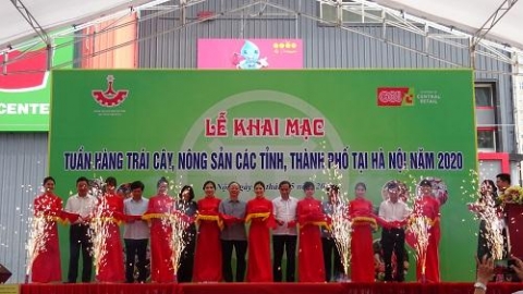 bigc khai mac tuan hang trai cay nong san cac tinh thanh pho tai ha noi nam 2020