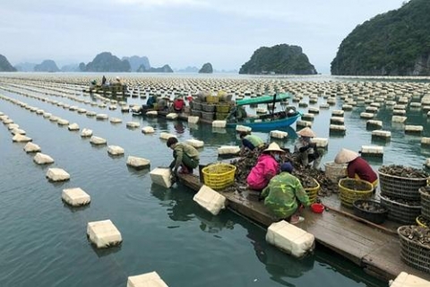 quang ninh nhung giai phap thao go cho tieu thu thuy san