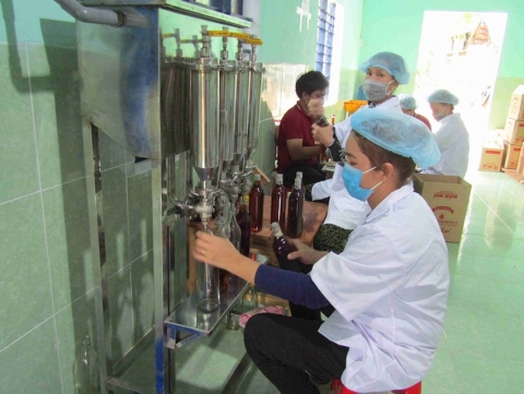 binh dinh 100 co so co nhu cau duoc ho tro phat trien san pham cong nghiep nong thon tieu bieu