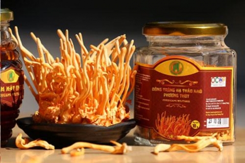 phuong thuy san xuat thanh cong dong trung ha thao