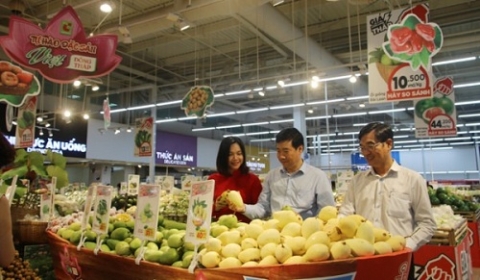 gan 50 doanh nghiep tham gia tuan hang dac san dong thap tai tp ho chi minh nam 2022