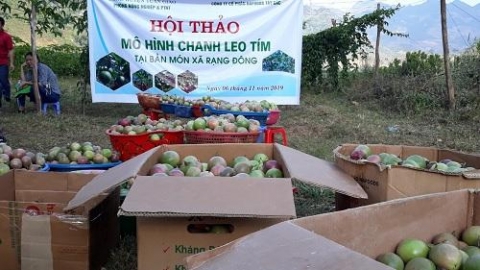 huyen tuan giao dien bien quyet tam hoan thanh chuong trinh moi xa mot san pham