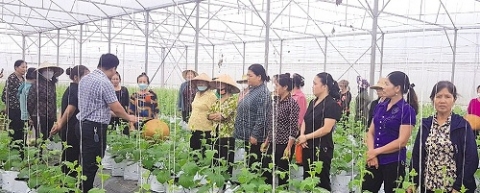 bac ninh phu nu dai lai xay dung lang nong thon moi kieu mau