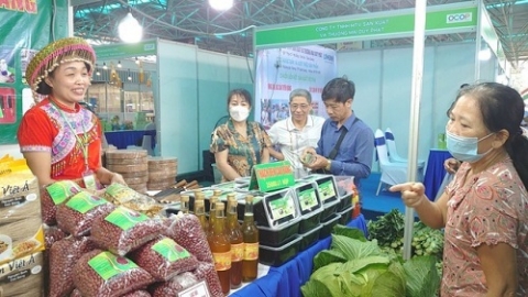 ha noi to chuc chuong trinh xuc tien san pham ocop lang nghe chao xuan 2023