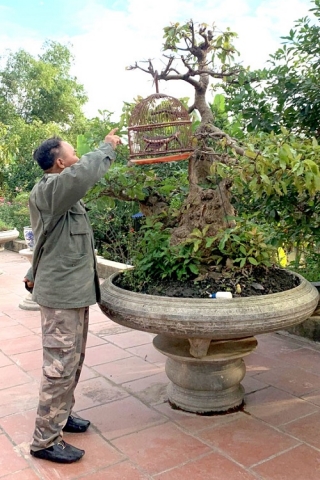 nghe nhan nguyen van bac dam me cay canh