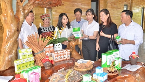 ocop tu vung cao yen bai