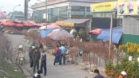 ha noi to chuc 91 diem cho hoa xuan phuc vu tet nguyen dan quy mao 2023