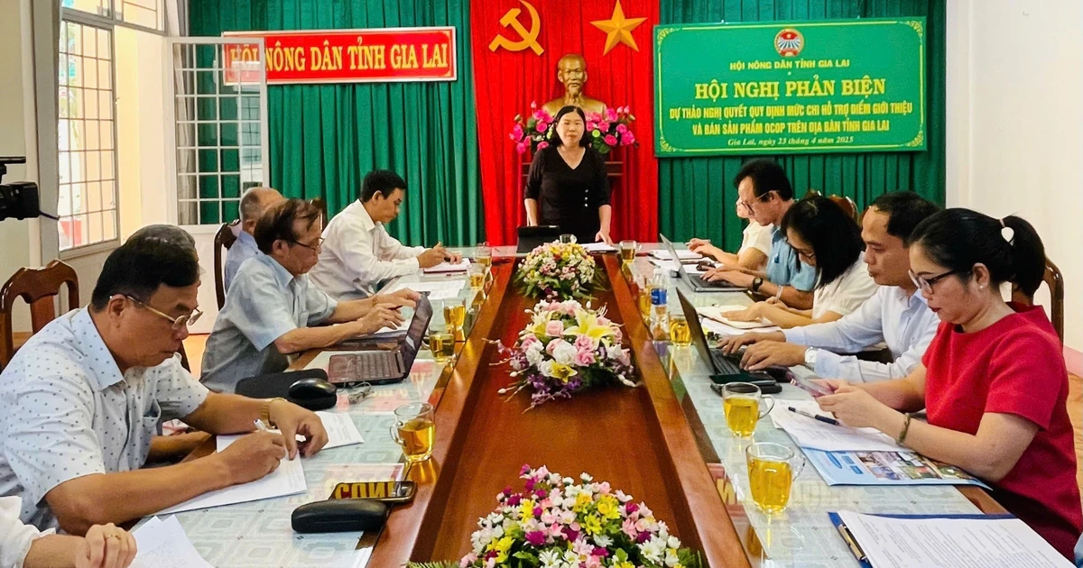 Gia Lai: Phản biện dự thảo Nghị quyết quy định mức chi hỗ trợ điểm giới thiệu và bán sản phẩm OCOP