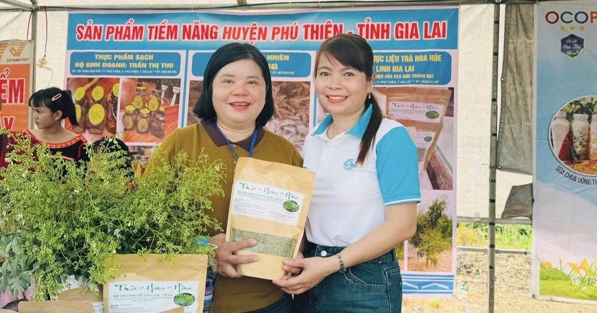 Phú Thiện đánh giá, phân hạng sản phẩm OCOP