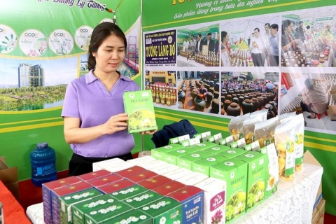 Doanh nghiệp tham gia phát triển sản phẩm OCOP