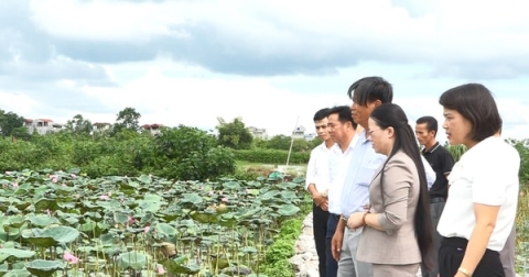 hoi nong dan ung hoa gop phan giam ruong hoang