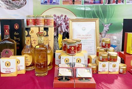 Sản phẩm OCOP thúc đẩy phát triển kinh tế nông thôn bền vững