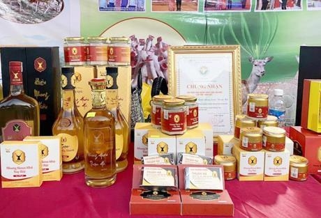 Sản phẩm OCOP thúc đẩy phát triển kinh tế nông thôn bền vững