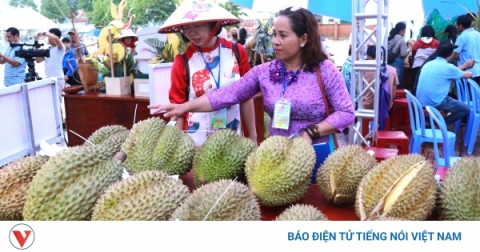 san pham ocop vung nui khanh hoa dang thanh cong tu nhung mo hinh lien ket