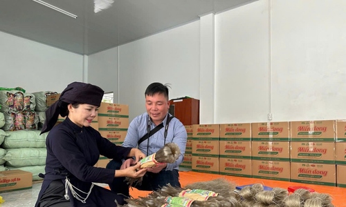 HTX OCOP tìm "chìa khóa" mở cửa thị trường quốc tế
