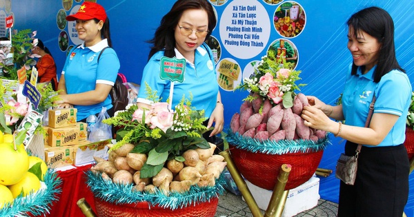Hội LHPN tỉnh Vĩnh Long: Đa dạng các hoạt động mừng Quốc khánh 2/9