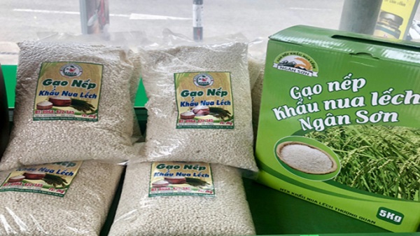 Gạo nếp Khẩu nua lếch Ngân Sơn, một trong 8 sản phẩm của Bắc Kạn đạt danh hiệu Thương hiệu Vàng nông nghiệp Việt Nam năm 2021