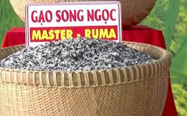 Sản phẩm gạo hai màu Song Ngọc chứa nhiều loại vitamin