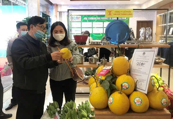 Các tỉnh, thành phố, cần tích cực đồng hành cùng Hà Nội tổ chức, tham gia hoạt động quảng bá, kết nối tiêu thụ sản phẩm của địa phương trên địa bàn Hà Nội và cả nước.
