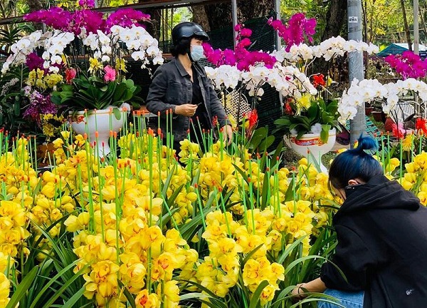 Các loại hoa đến từ khắp vùng miền trên cả nước sẽ được giới thiệu tại Hội chợ Xuân Nhâm Dần