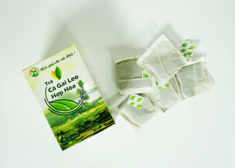 tuyen quang hanh trinh dua tra ca gai leo hop hoa thanh san pham ocop 4 sao