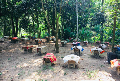 Khu vực nuôi ong của các hộ thành viên thuộc HTX Ong mật xã Lương Thịnh