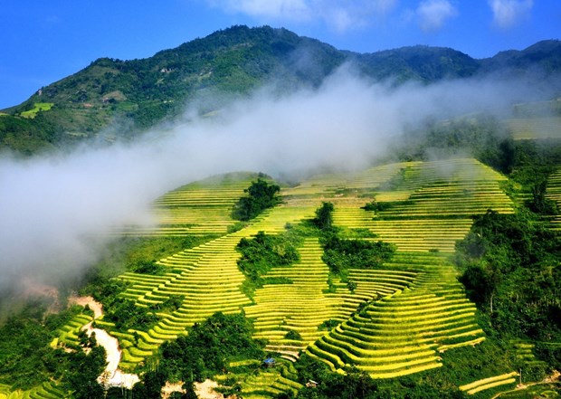 Lào Cai, điểm du lịch hấp đẫn du khách trong nước và quốc tế
