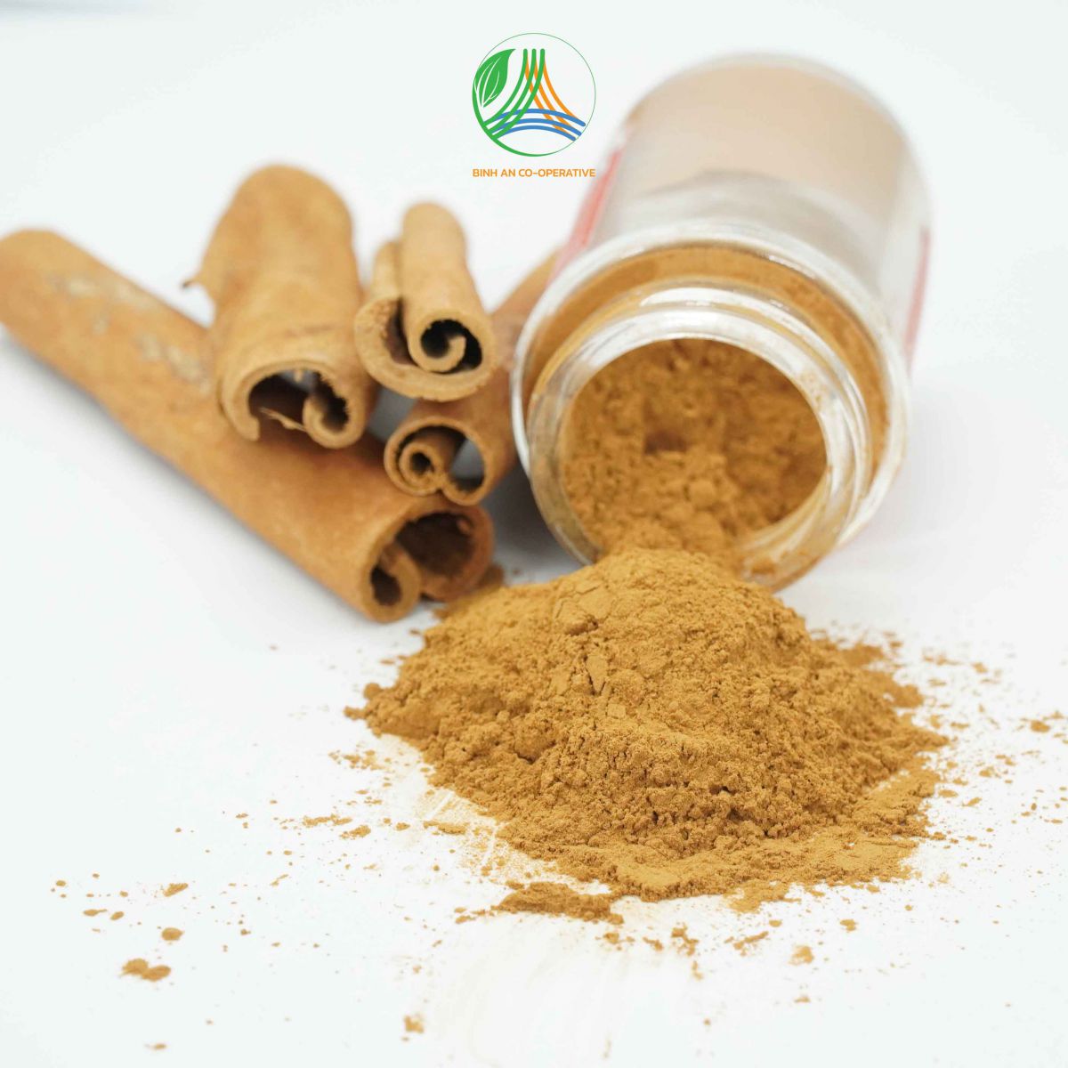 Yen Bai: The model of growing cinnamon according to International Organic Standards
